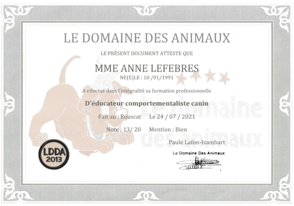 Educateur canin le domaine des animaux