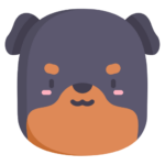 chien catégorisé